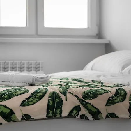 Comfy Flat In The Center